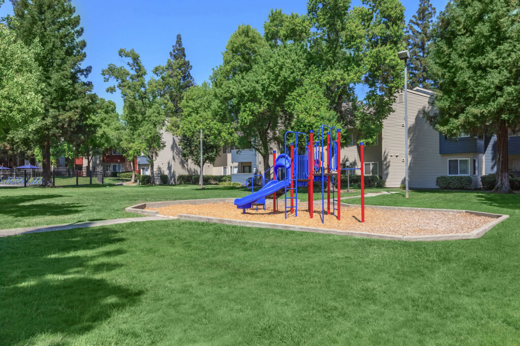 Playground with climbing and slides