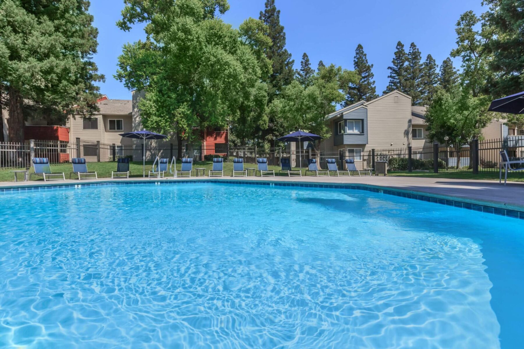 Pool with deck seating surrounded by trees